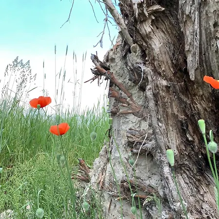 Апартаменты Alter Seminar- Und Gaestehaus Spreewald