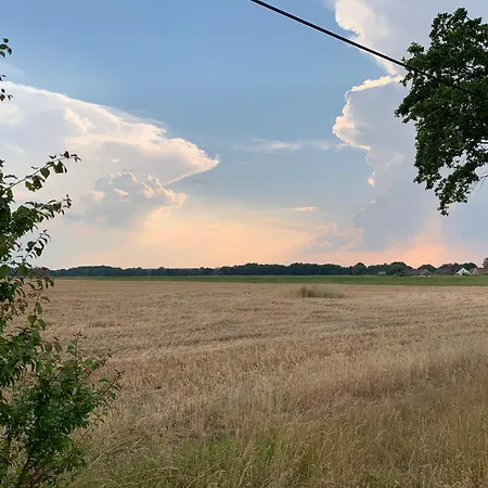 Alter Seminar- Und Gaestehaus Spreewald * Фечау