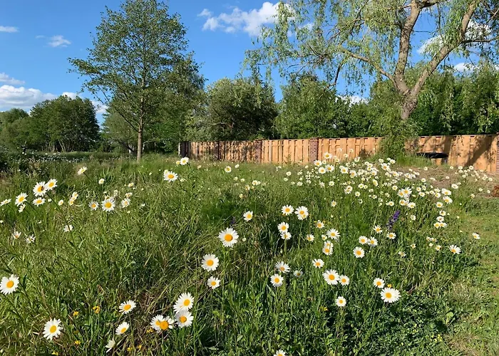 Alter Seminar- Und Spreewald Apartment *