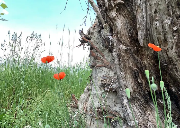 Apartment Alter Seminar- Und Spreewald