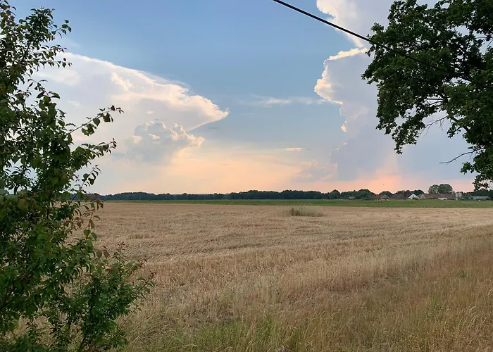 Alter Seminar- Und Spreewald * Vetschau/Spreewald